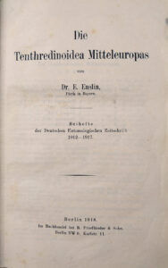 Tenthredinoidea Mitteleuropas